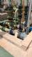 Planta complexo industrial com infraestrutura para industrias aliment�cias